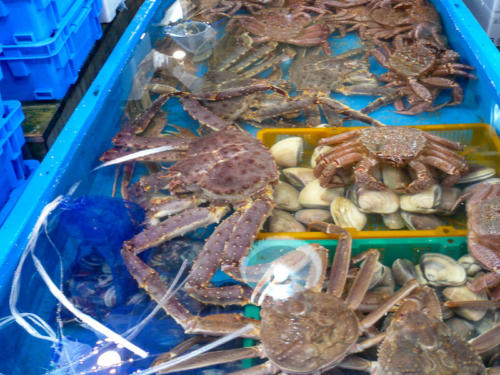 Japon,Tokyo - Centre de Tokyo, marché au poisson de Tsukiji