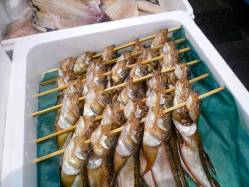 Japon,Tokyo - Centre de Tokyo, marché au poisson de Tsukiji