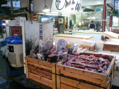 Japon,Tokyo - Centre de Tokyo, marché au poisson de Tsukiji