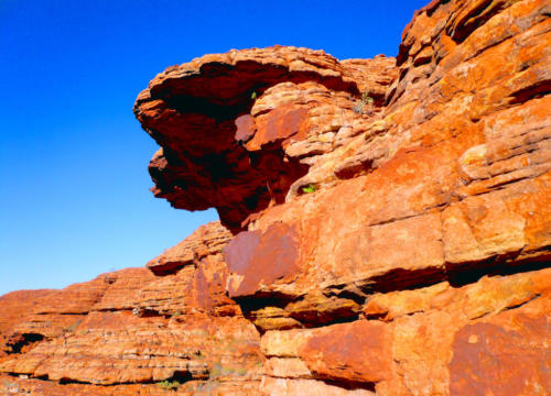 Australie - Centre rouge - Kings canyon