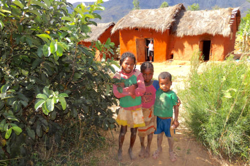 Madagascar - village de Tsaranoro, les premiers enfants nous approchent