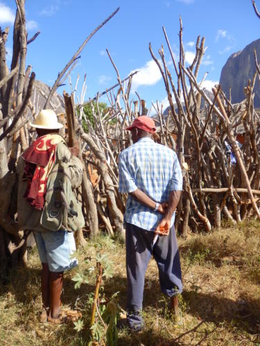 Madagascar - village de Tsaranoro, jour de vaccination des troupeaux