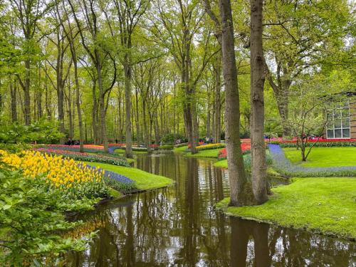 Pays-Bas, Kenkenhof - le décor du Parc