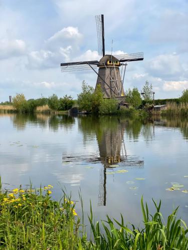 Pays-bas, Kinderdijk et ses moulins