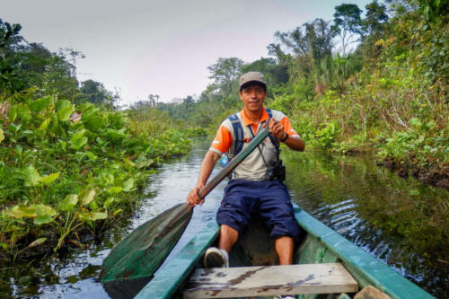Pérou, Amazonie - La forêt. balade en pirogue avec notre guide