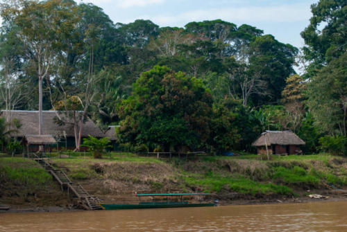 Pérou, Amazonie -Berges du Rio Madre de Dios