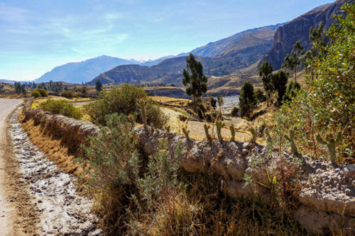 Pérou-Descente vers Cabaconde et le canyon de Colca
