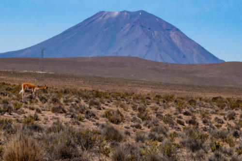 Pérou - réserve nationale des Salinas et Aguada Blanca, volcan