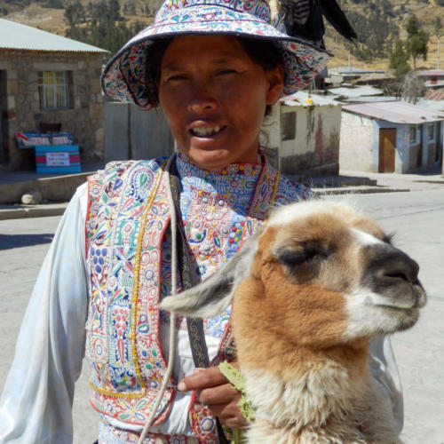 Pérou, Chivay -Péruvienne en habits traditionnels avec son lama 