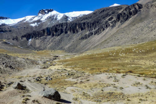 Pérou, hauts-plateaux de Chivay à Puno, col de Patapampa