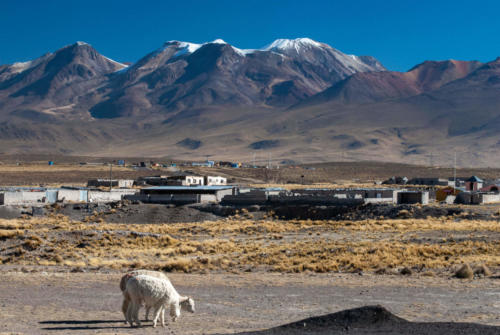 Pérou - Altiplano