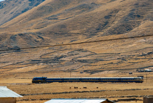 Pérou, de Puno à Cuzco - train
