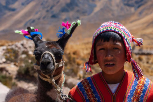 Pérou, de Puno à Cuzco - enfant et lama