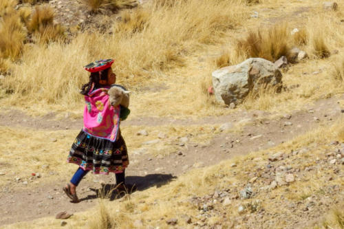 Pérou, de Puno à Cuzco - enfant et agneau