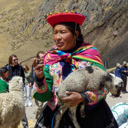 Pérou, de Puno à Cuzco - femme et agneau