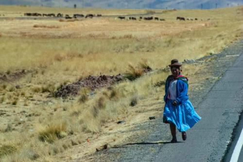 Pérou, de Puno à Cuzco - Péruvienne