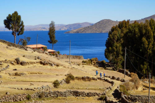 Pérou, lac Titicaca -Ile Amantani