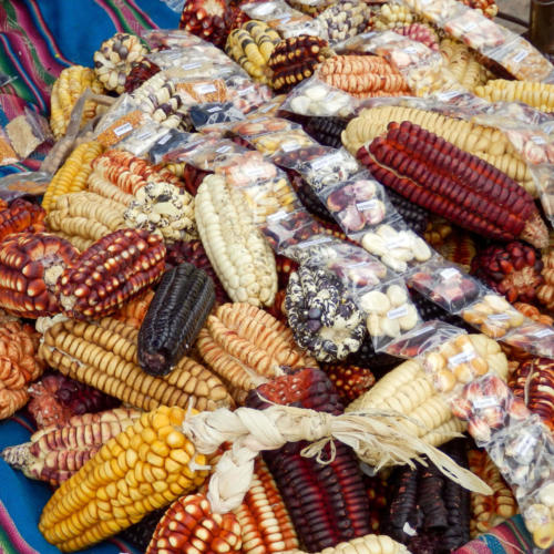 Pérou, Vallée sacrée - Maïs au marché de Pisac