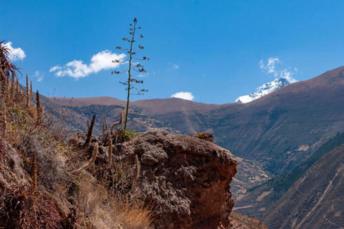 Pérou, Vallée sacrée - Maras, les salines