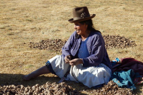 Pérou, Vallée sacrée - Chinchero, épluchage des pommes de terre et bavardage