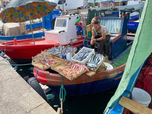 Sicile - Trapani, marché aux poissons "au cul du bateau"