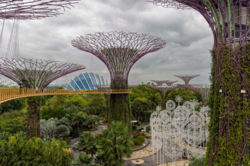 Singapour - Garden by the bay, les super trees