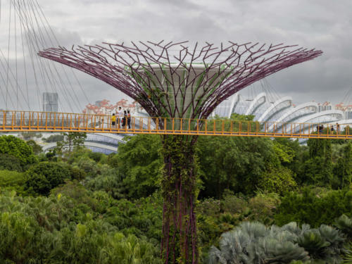 Singapour - Garden by the bay, les super trees