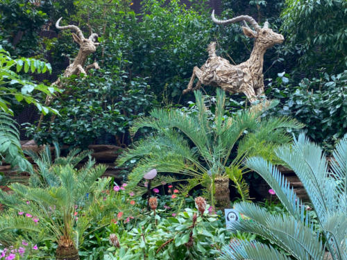 Singapour - Garden by the bay, les serres
