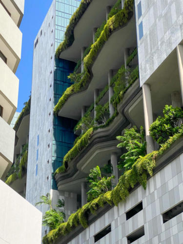 Centre de Singapour, immeuble végétalisés