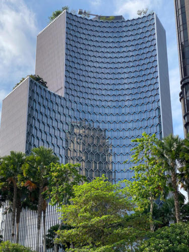 Centre de Singapour, architecture en nid d'abeille
