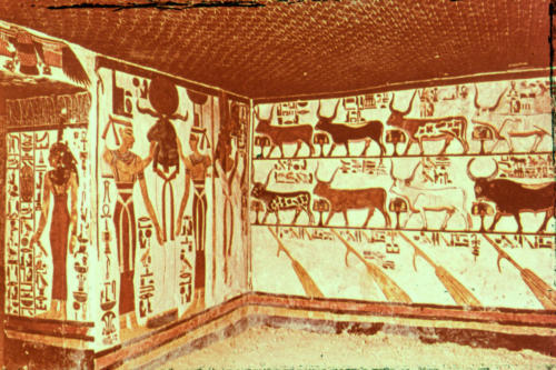 Egypte, tombe de Nefertari dans la Vallée des Reines