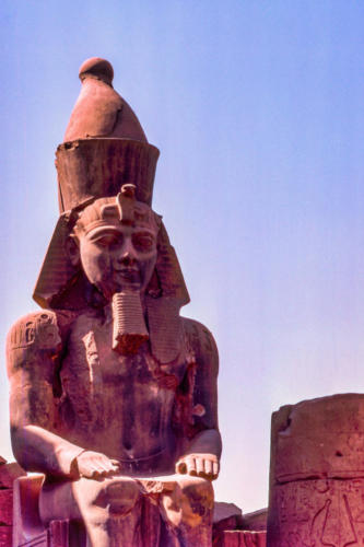 Egypte, Louxor - temple d'Amon