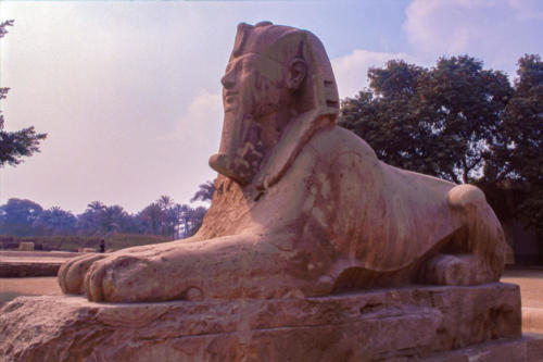 Egypte, Menphis - Sphinx