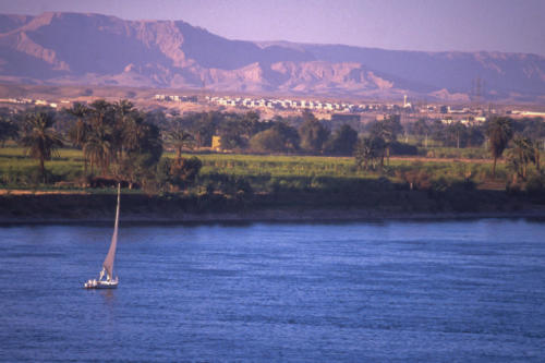 Egypte, Assouan - Le Nil