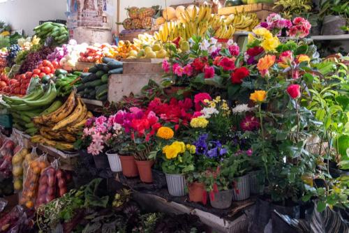 Equateur, Cuenca, fleurs