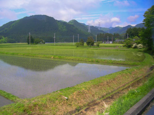 Japon, Nikko - rizière vue du train