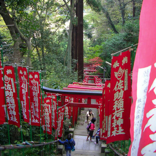 Japon, Kamakura - allée de toris  au temple Sakusi