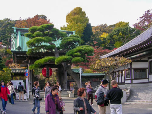 Japon, Kamakura - Temple Hase Dera