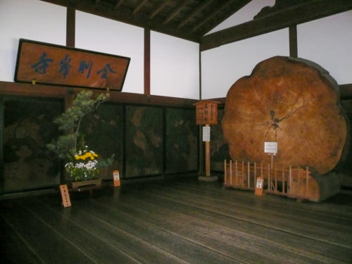 Japon, Mont Koya - Une tranche d'arbre géant 