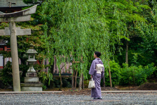 Japon, Kyoto - Temple zen Tenryu-ji