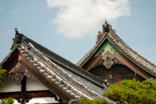 Japon, Kyoto -  Temple Daikaku-ji