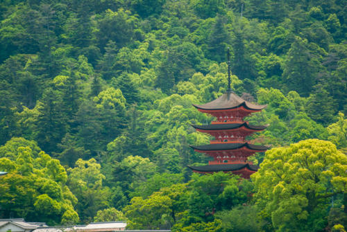 Japon, Miyajima - la pagode à 5 étages 