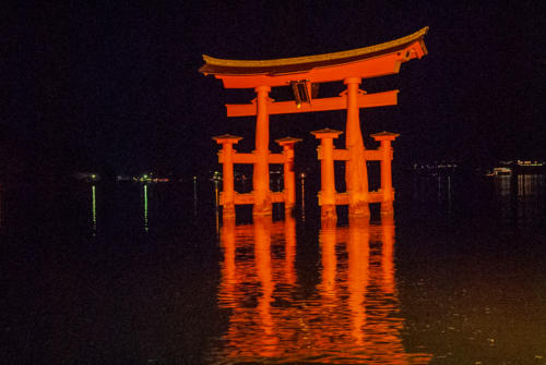 Japon, Miyajima - le tori de nuit