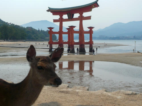 Japon, Miyajima - le Tori à marée basse