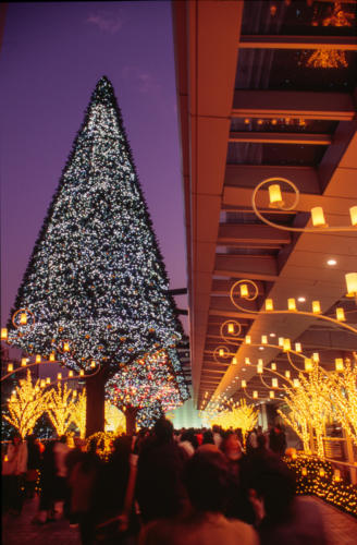 Japon, Nagoya -Décoration de Noël
