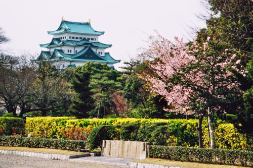 Japon, Nagoya - le Château au printemps