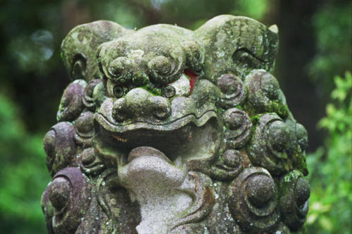 Japon, Nara- le chine gardien du sanctuaire Kasuga Taisha