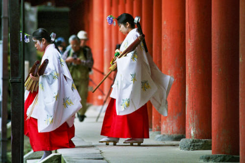 Japon, Nara - nonnes du sanctuaire shintô Kasuga Taisha