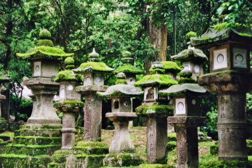 Japon, Nara- les lanternes de pierre du sanctuaire Kasuga Taisha