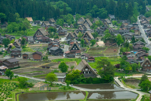 Japon, Shirakawago - point de vue sur le village et ses rizières